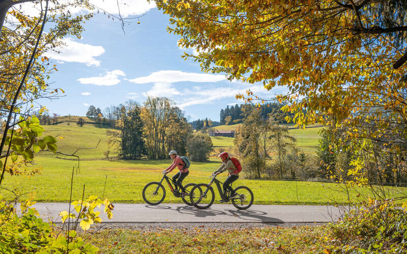Radeln in der Herbstsonne auf den Radwegen Oberstaufen im Allgäu Radfahrer unterwegs auf einem Radweg bei Oberstaufen im Allgäu in warmer Herbstsonne, umgeben von einer farbenfrohen, herbstlichen Landschaft.