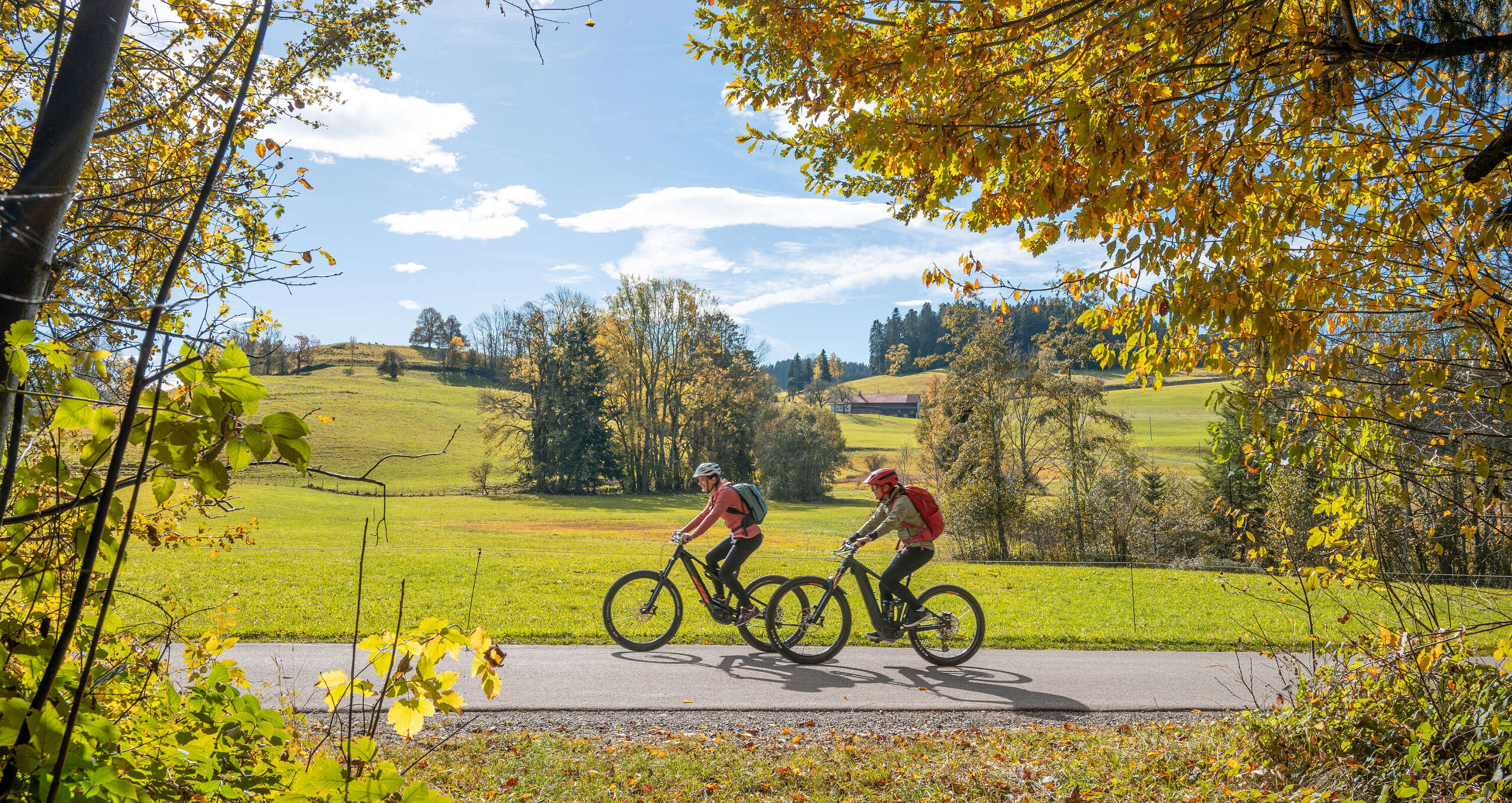 Radeln in der Herbstsonne auf den Radwegen Oberstaufen im Allgäu Radfahrer unterwegs auf einem Radweg bei Oberstaufen im Allgäu in warmer Herbstsonne, umgeben von einer farbenfrohen, herbstlichen Landschaft.