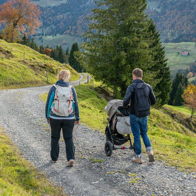 Wandern mit Kinderwagen am Imberg.