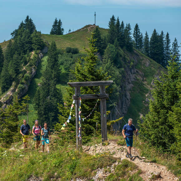 Wandern an der Porta Alpinae auf der Nagelfluhkette mit Bergpanorama im Sommer.