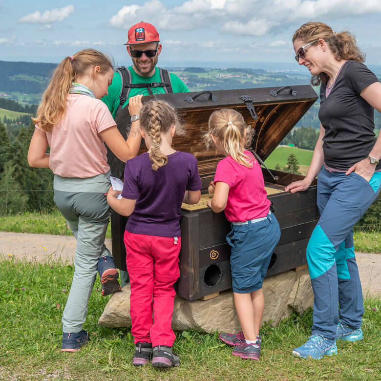 Wandern mit der ganzen Familie auf dem MounTeens Detektivweg am Imberg in Steibis.