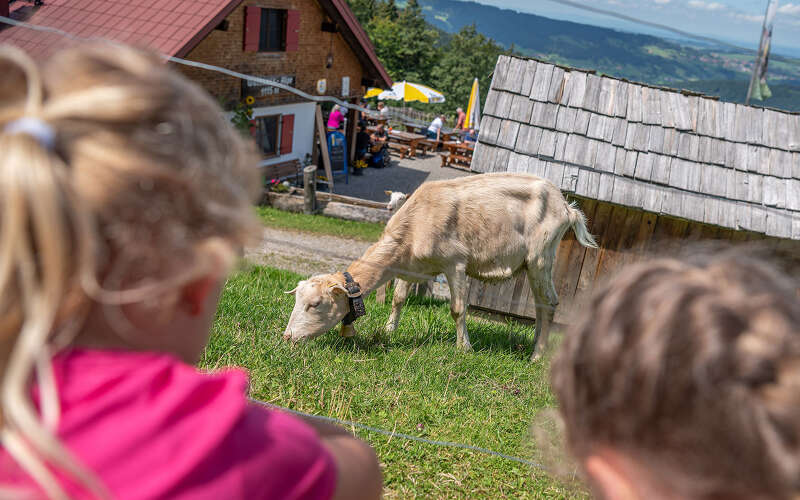 Imberg MounTeens Alpe Einkehrmöglichkeit