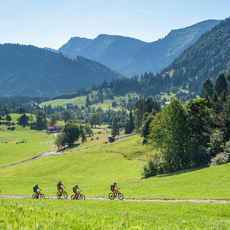 Radfahren in Oberstaufen inmitten grüner Landschaft mit Bergpanorama.