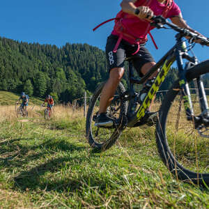 Radlerin auf einem schwarzen MTB fährt über einen Feldweg vorweg bergab. Im Hintergrund zwei Radler auf Mountainbikes an einem sonnigen Tag.