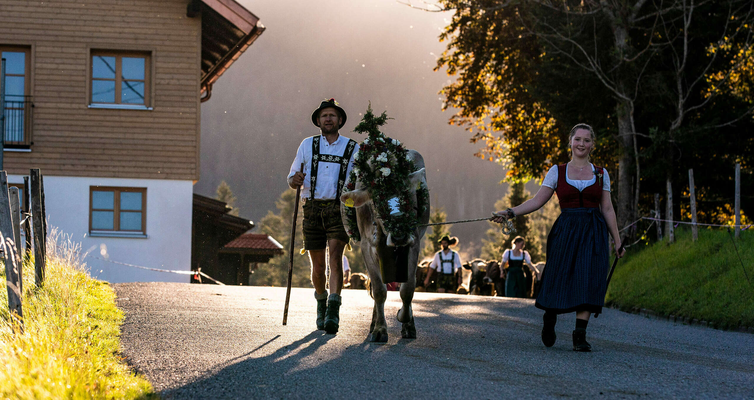 Kranzkuh und Hirte mit Viehzug am Viehscheid Oberstaufen.