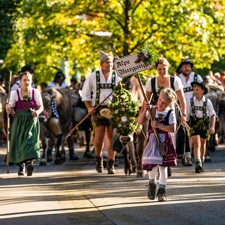 Der Viehscheid im Allgäu ist auch in Oberstaufen und Thalkirchdorf eine langjährige Tradition.
