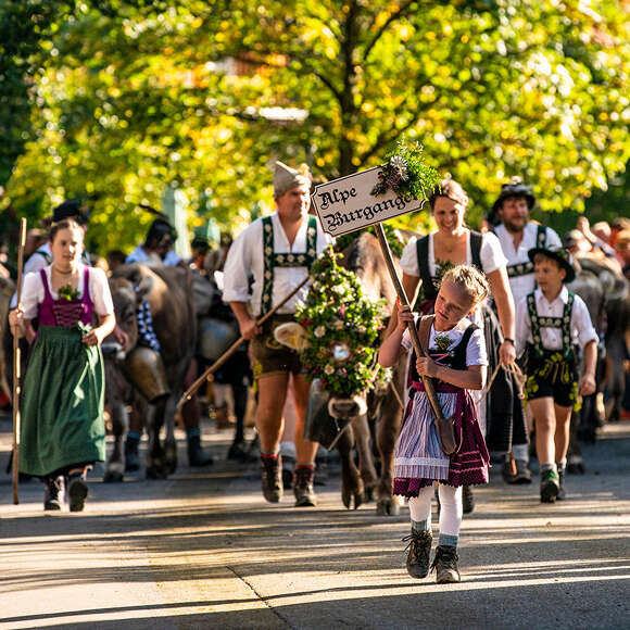 Das Allgäu ist geprägt von Traditionen und altem Brauchtum. Vieles wird bis heute gelebt, wie der Viehscheid, der jährlich im September in Oberstaufen und Thalkirchdorf gefeiert wird.