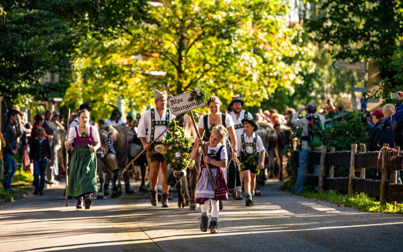 Viehscheid in Oberstaufen und Thalkirchdorf
