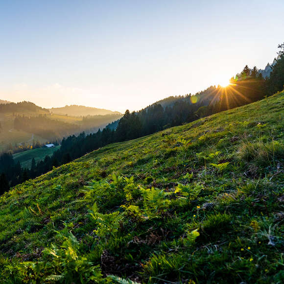 Sonnenuntergang im Herbst am Imberg.
