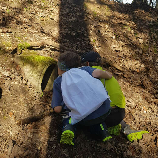 Auf der Natur-Rallye für Kinder in Oberstaufen, erkundet die ganze Familie die Natur im Allgäu.