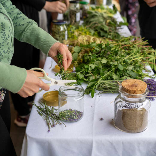 Kerzen und Oxymel selbst herstellen bei dem Workshop in Oberstaufen