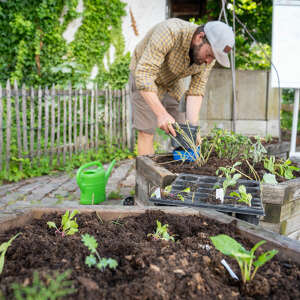 Hochbeet selbst beflanzen lernen beim Workshop in Oberstaufen