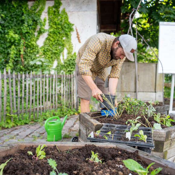 Hochbeet-Workshop beim Oberstaufener Weitblick Hochbeet selbst beflanzen lernen beim Workshop in Oberstaufen