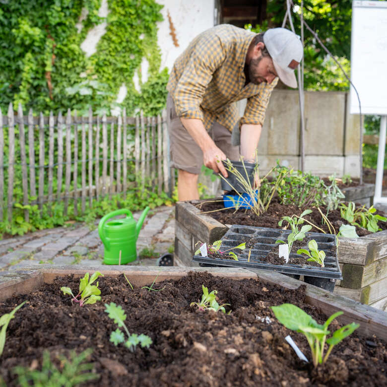 Hochbeet-Workshop beim Oberstaufener Weitblick Hochbeet selbst beflanzen lernen beim Workshop in Oberstaufen
