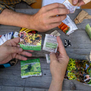 Hochbeet selbst beflanzen lernen beim Workshop in Oberstaufen