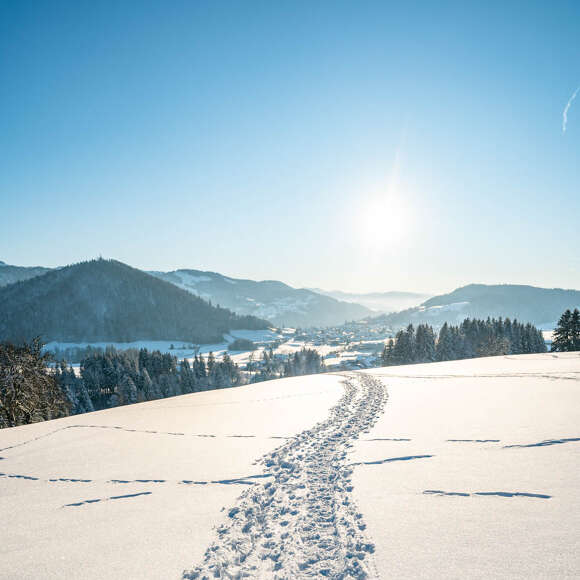 Winterwandern im Allgaeu Oberstaufen