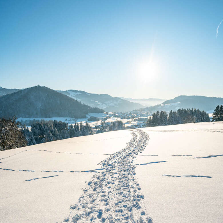 Winterwandern im Allgaeu Oberstaufen
