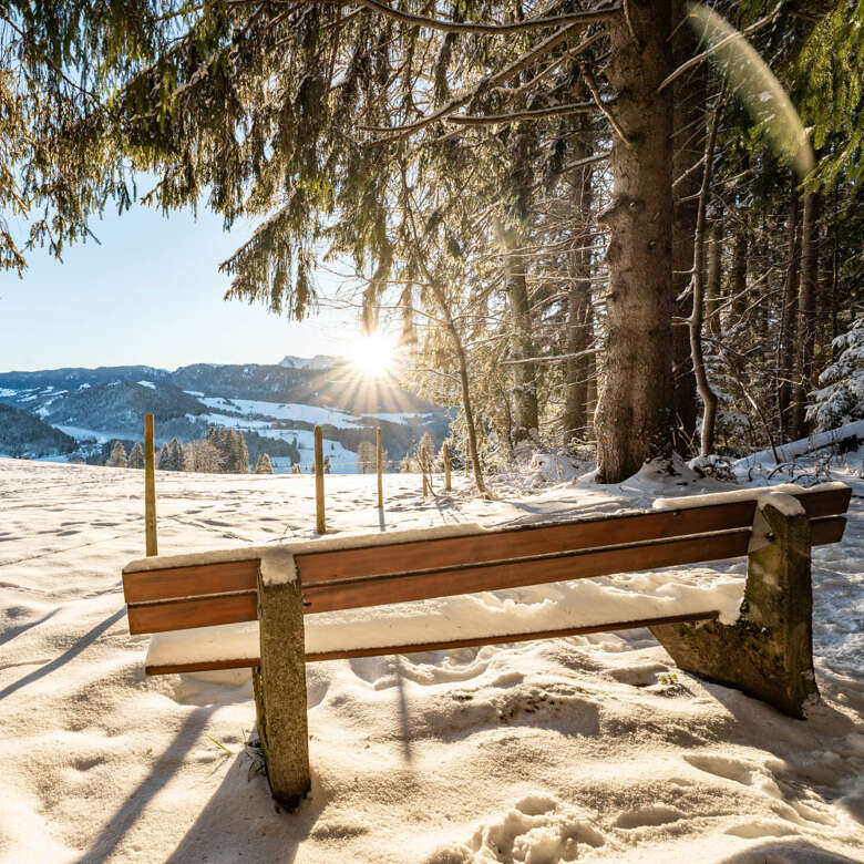 Sonnenbank am Kapf Eine Bank steht in der Sonne mit Blick auf den Staufen.