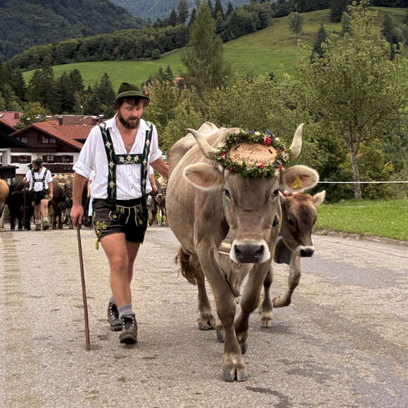 Viehscheid Oberstaufen 2025