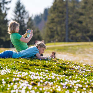 Familienwandern in Oberstaufen
