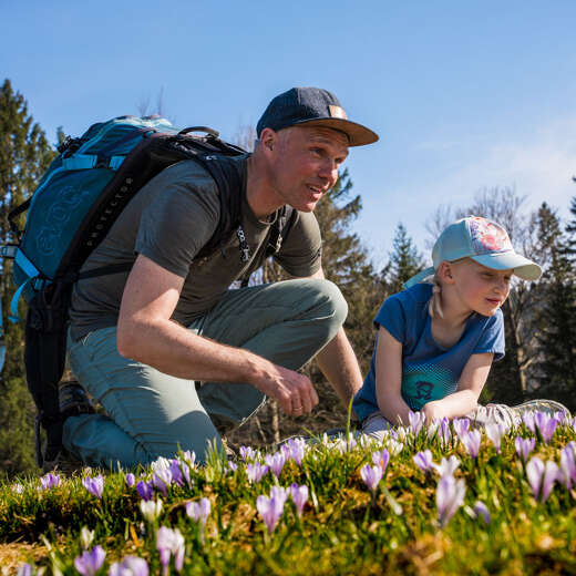 Krokusblüte in Oberstaufen