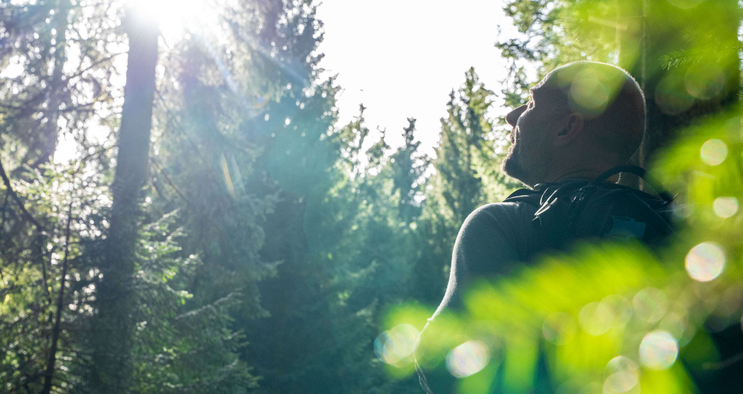 Mann steht im Wald in der Sonne und lässt die Natur auf sich wirken
