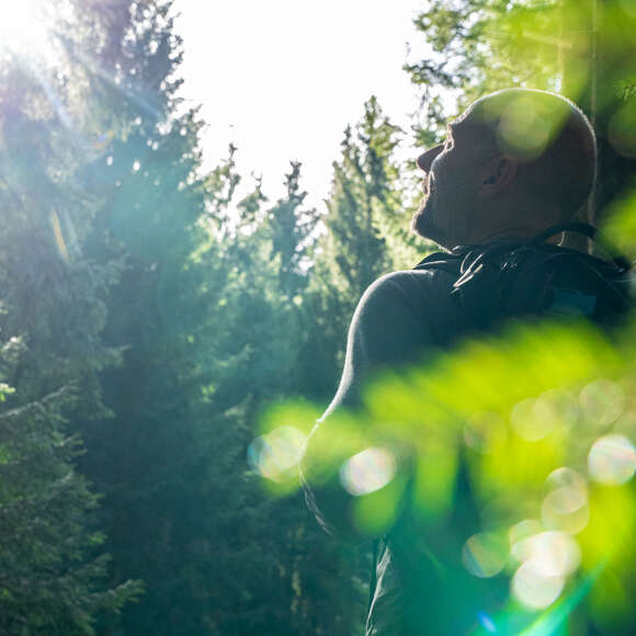 Mann steht im Wald in der Sonne und lässt die Natur auf sich wirken