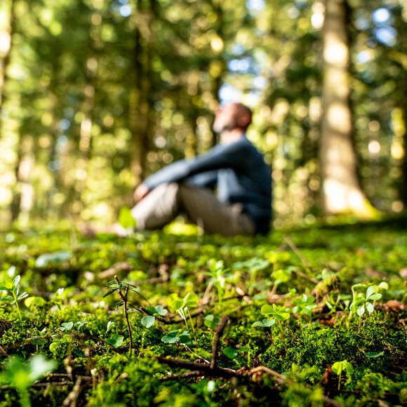 Den Wald mit allen Sinnen spüren
