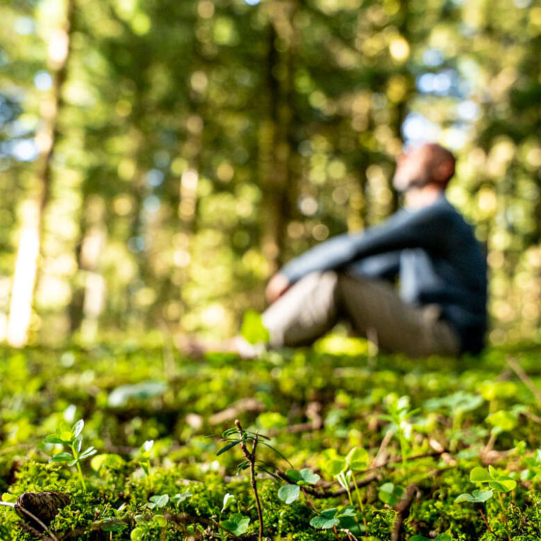 Waldbaden Den Wald mit allen Sinnen spüren