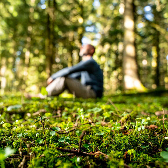 Den Wald mit allen Sinnen spüren