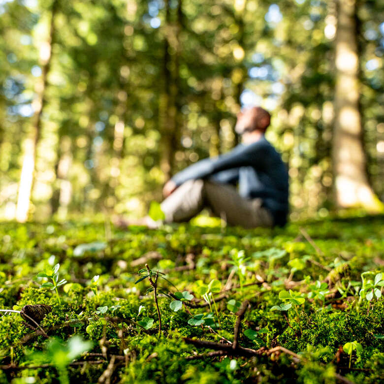 Waldbaden Den Wald mit allen Sinnen spüren