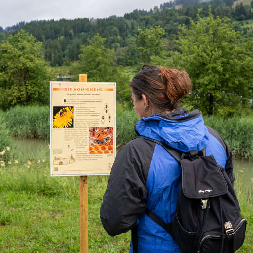 Zwei Frauen stehen vor einem Infoschild über Bienen am Teich beim Oberstaufener Weitblick