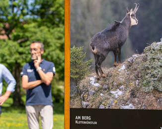 Ausstellungstafel mit Foto einer Gämse auf Felsvorsprung, Naturpark Nagelfluhkette, im Freien
