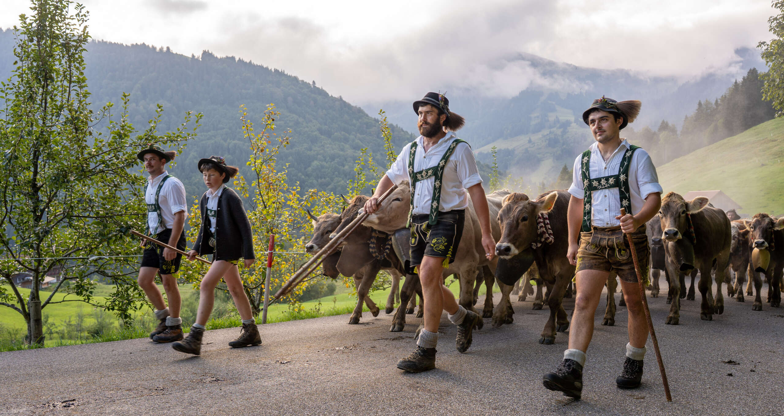 Almabtrieb im Allgäu