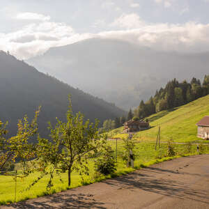 Alpabtrieb im Allgäu