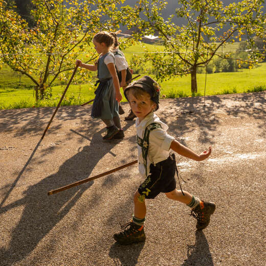 Almabtrieb im Allgäu