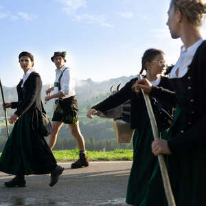 Alpabtrieb im Allgäu