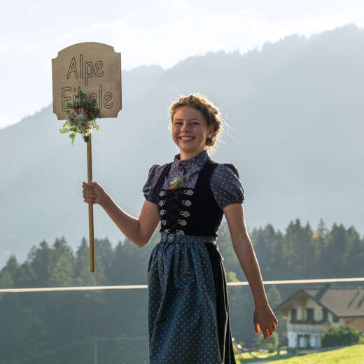 Alpabtrieb im Allgäu