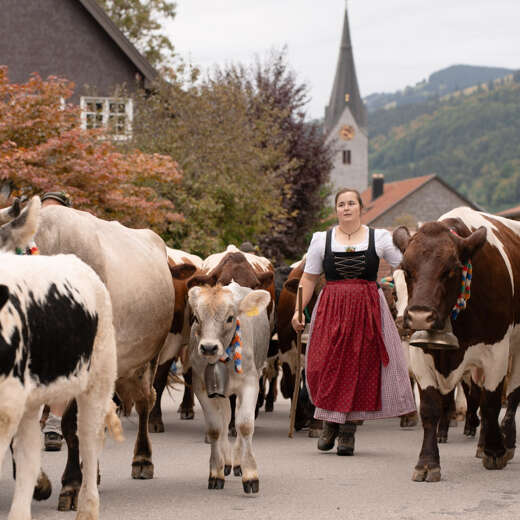 Viehscheid in Thalkirchdorf