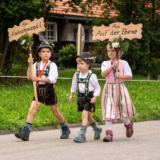 Viehscheid in Thalkirchdorf