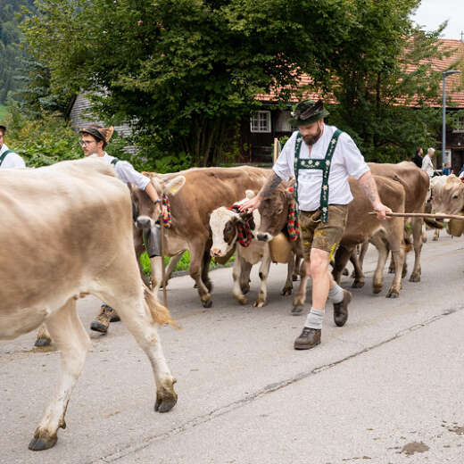 Viehscheid in Thalkirchdorf
