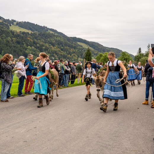 Viehscheid in Thalkirchdorf