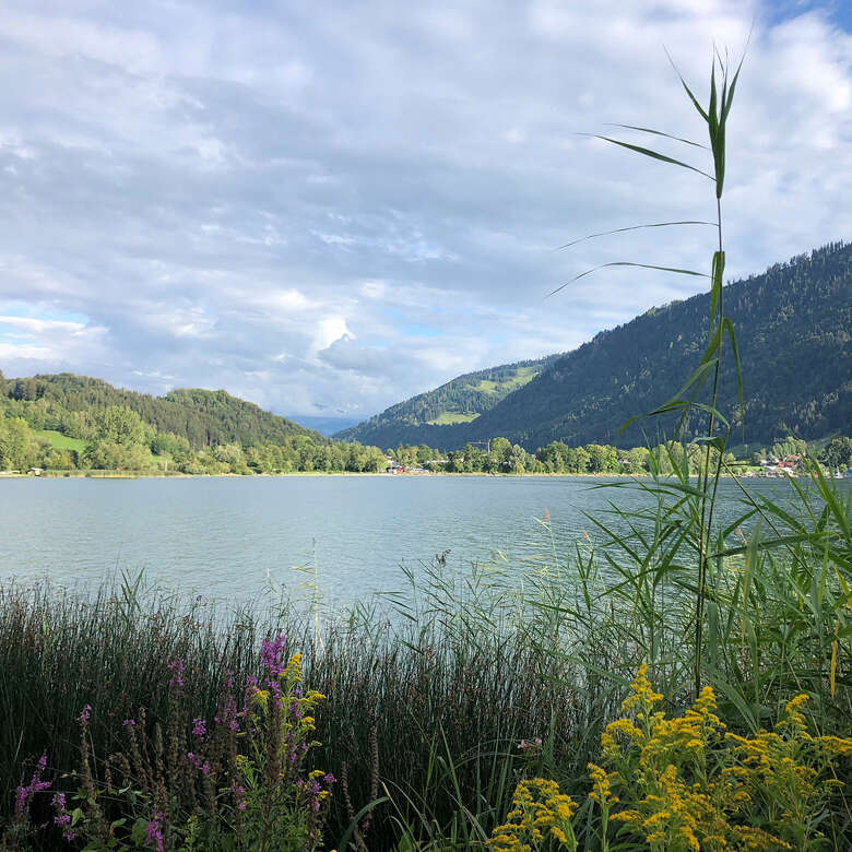 Den Kopf durchpusten lassen und den Alltag vergessen bei einem Ausflug an den Alpsee bei Immenstadt.