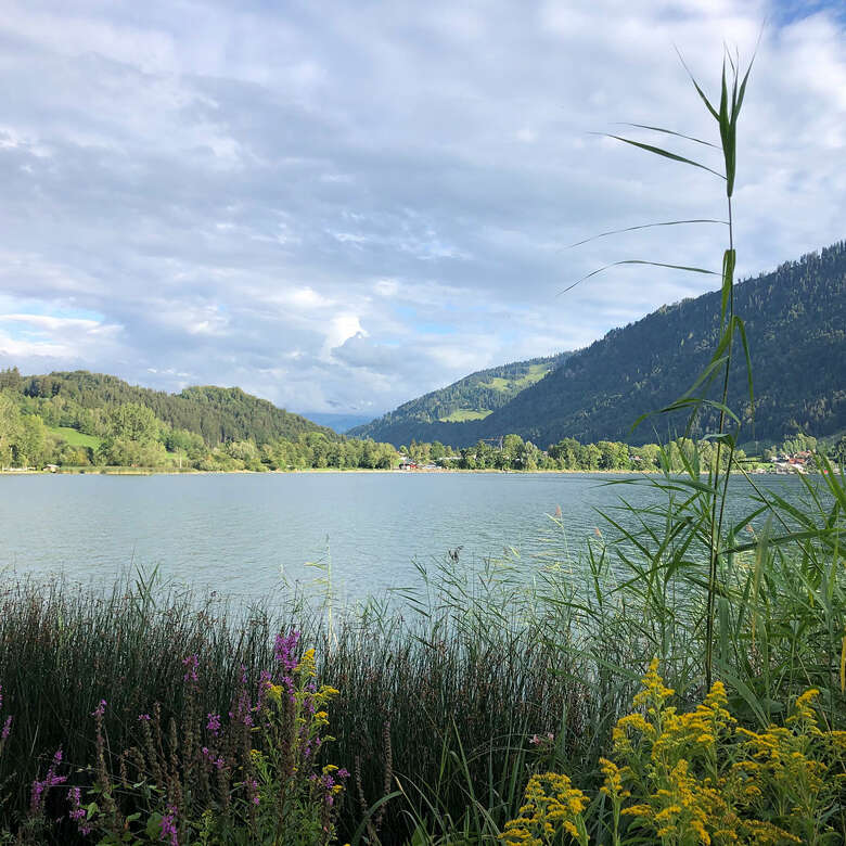 An einem heißen Sommertag bietet sich eine Fahrradtour an den Alpsee an.