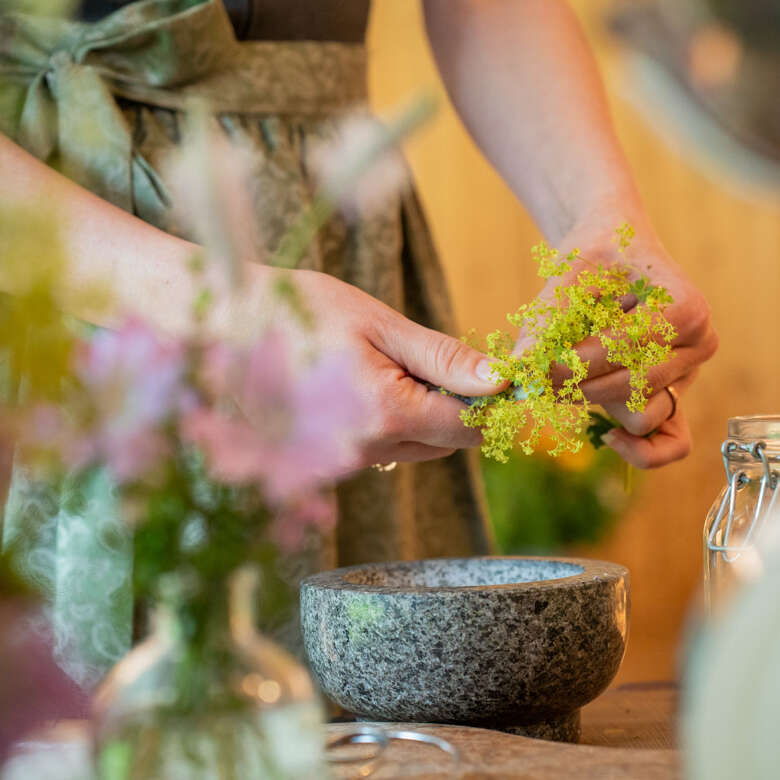 Kräuter werden verkleinert.