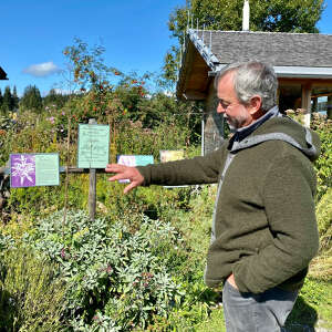 Huimatwochen in Oberstaufen