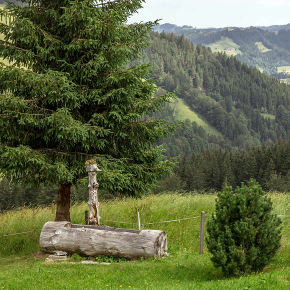 Holzbrunnen auf dem Wanderweg Alpenfreiheit