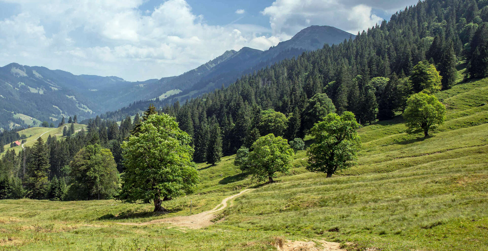 Bergahorngarten mit Aussicht in das Ehrenschwanger Tal