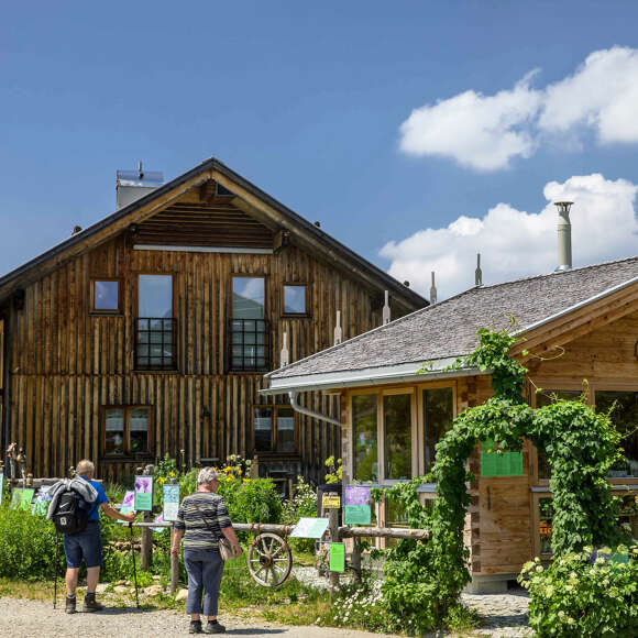 Kräueralpe in den Bergen von Steibis