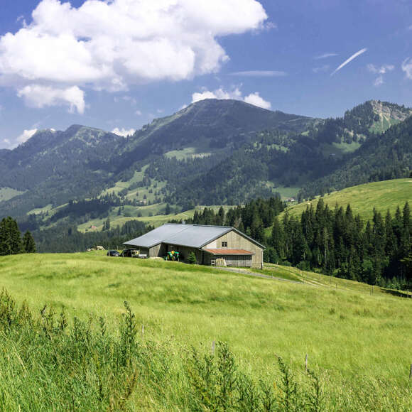 Ausblicke auf die Nagelfluhkette und die Alpe Remmelegg beim Wandern auf dem Premiumweg Alpenfreiheit